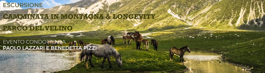 longevity-velino-lazzari-big.jpg longevity-velino-lazzari-big.jpg