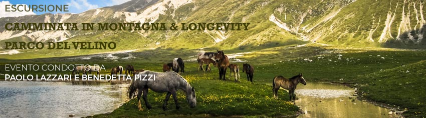 longevity-velino-lazzari-big.jpg