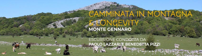montegennaro-longevity-lazzari-big.jpg montegennaro-longevity-lazzari-big.jpg