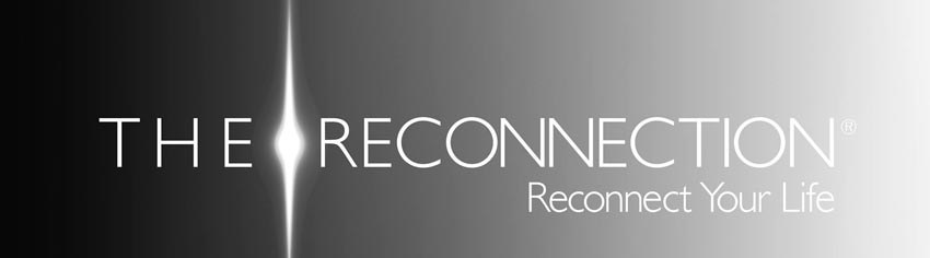 thereconnection-conferenza-guglielmo-big.jpg thereconnection-conferenza-guglielmo-big.jpg