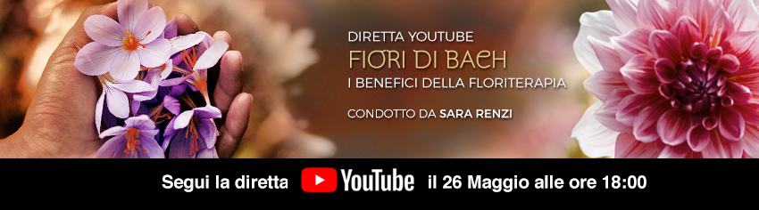 FIORI-DI-BACH-I-Benefici-della-Floriterapia-sara-renzi-big.jpg FIORI-DI-BACH-I-Benefici-della-Floriterapia-sara-renzi-big.jpg