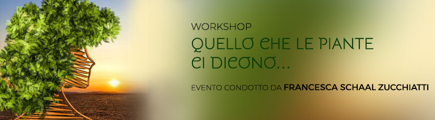piante-workshop-shall-big.jpg piante-workshop-shall-big.jpg