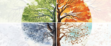 medicina-cinese-autunno-giardina-small.jpg