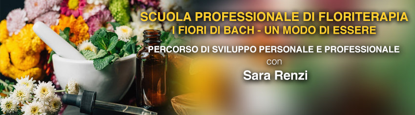 scuola-bach-renzi-big.jpg scuola-bach-renzi-big.jpg