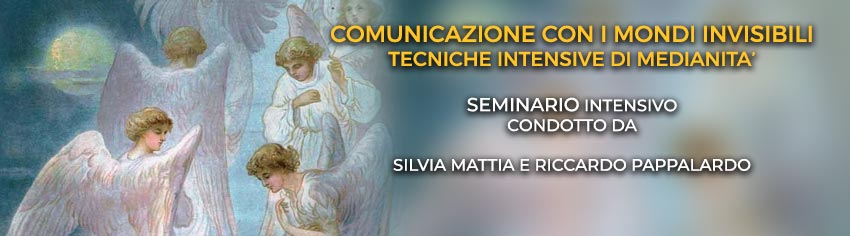 tecniche-intensive-seminario--silvia-riccardo-big.jpg