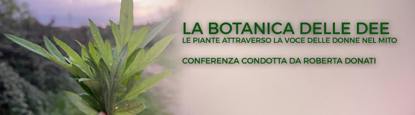 botanica-dee-conferenza-donati-big.jpg