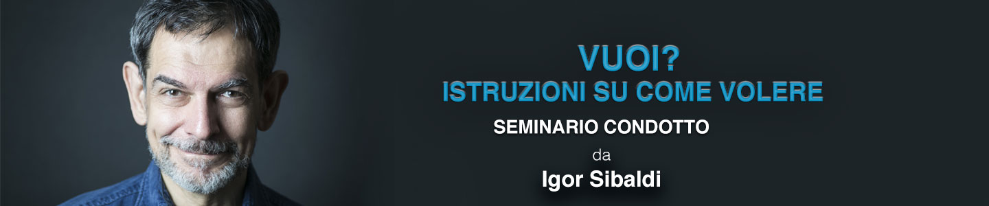 VUOI-seminario-sibaldi-banner-big.jpg