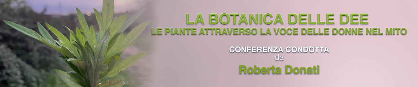 botanica-dee-conferenza-donati-banner-big.jpg