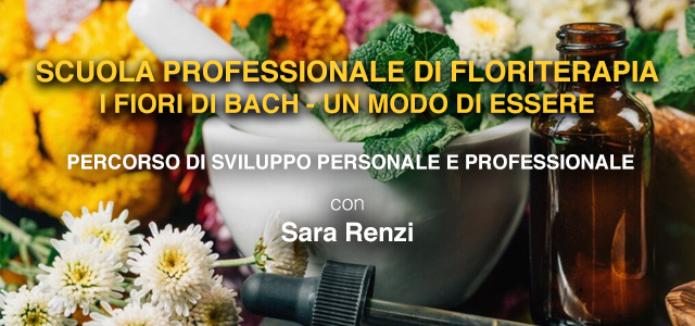 scuola-bach-renzi-banner-small.jpg