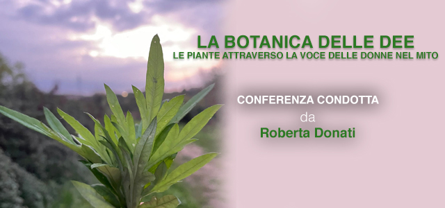 botanica-dee-conferenza-donati-banner-small.jpg