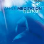 Whale Meditation