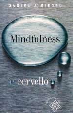 Mindfulness e Cervello
