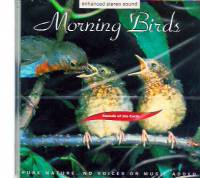 Morning Berds