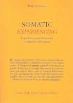 Somatic Experiencing
