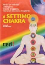 Il Settimo Chakra